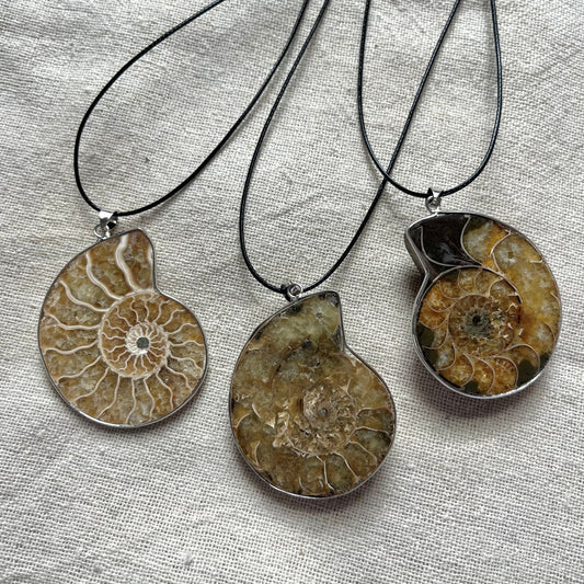 Ammonite Pendant